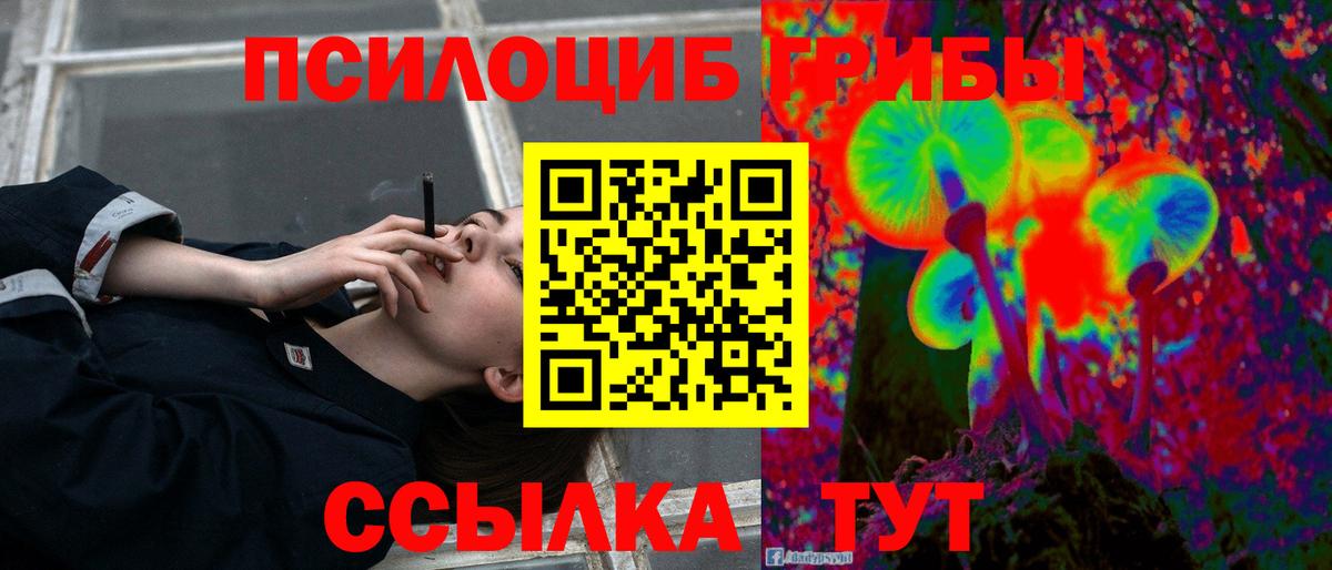 Дальнереченск  Галлюциногенные грибы прущие грибы  Вход с VPN  Галлюциногенные грибы GOLDEN TEACHER 